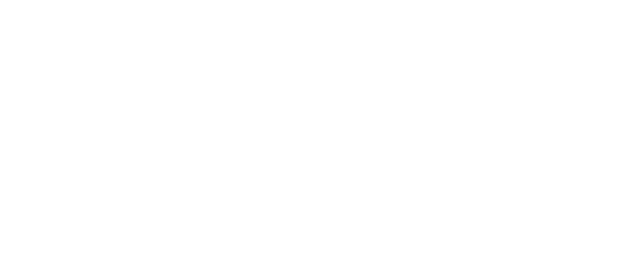 Logo IRONMAN 70.3 Florianópolis