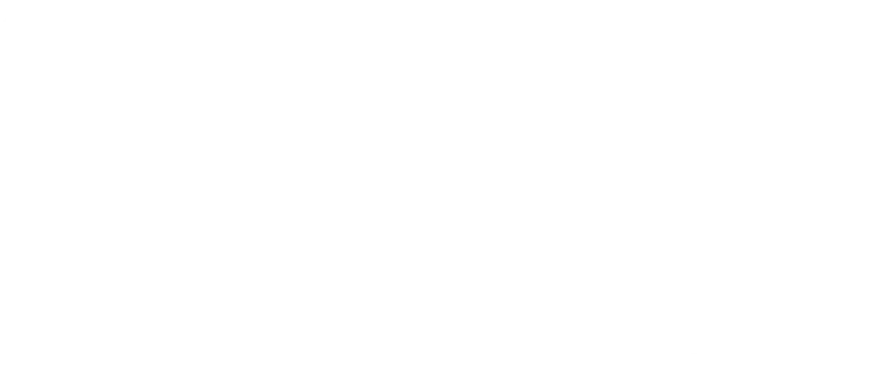 Logo IRONMAN 70.3 São Paulo